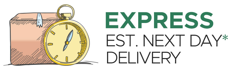 Express Delivery Express Delivery